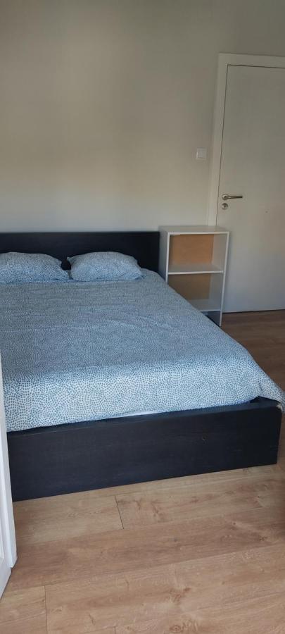Guesthouse Porto Serpa Pinto Экстерьер фото